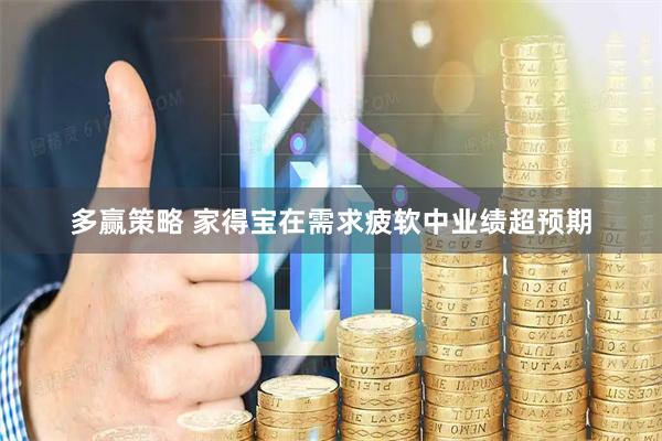 多赢策略 家得宝在需求疲软中业绩超预期