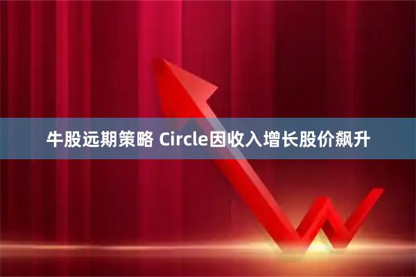 牛股远期策略 Circle因收入增长股价飙升
