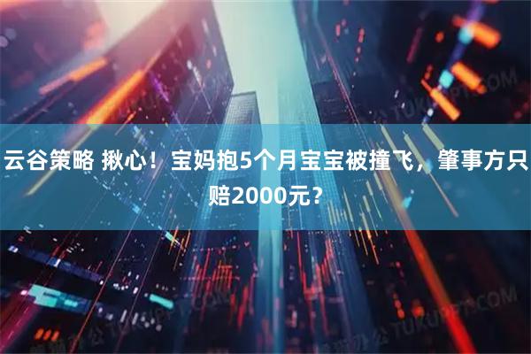 云谷策略 揪心！宝妈抱5个月宝宝被撞飞，肇事方只赔2000元？