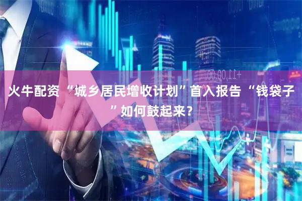 火牛配资 “城乡居民增收计划”首入报告 “钱袋子”如何鼓起来？