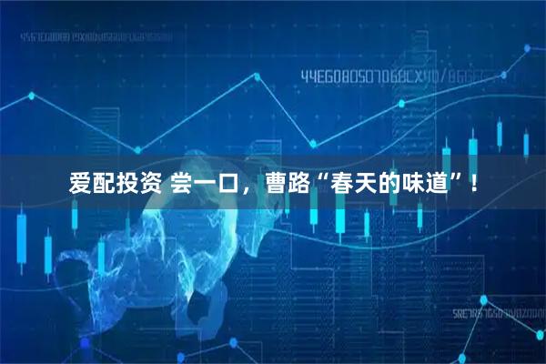 爱配投资 尝一口，曹路“春天的味道”！