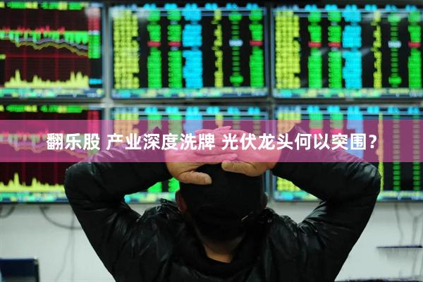 翻乐股 产业深度洗牌 光伏龙头何以突围？