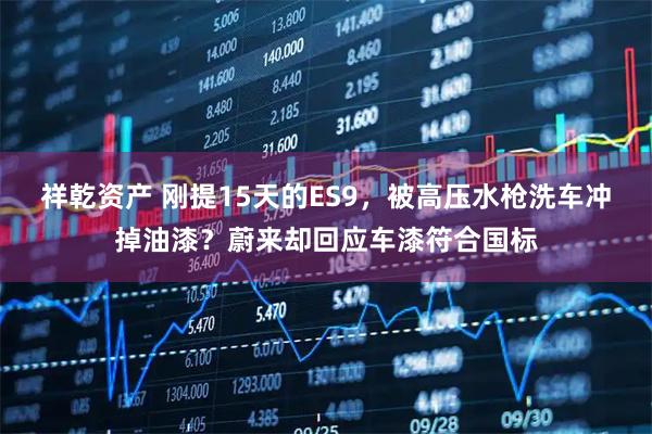 祥乾资产 刚提15天的ES9，被高压水枪洗车冲掉油漆？蔚来却回应车漆符合国标