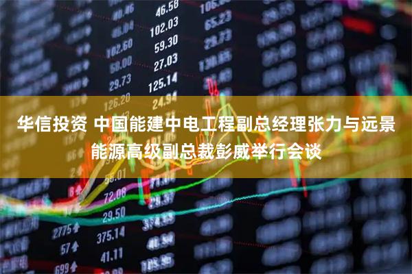 华信投资 中国能建中电工程副总经理张力与远景能源高级副总裁彭威举行会谈