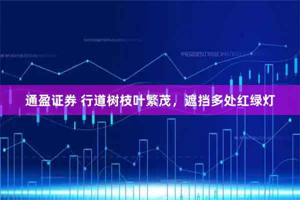 通盈证券 行道树枝叶繁茂，遮挡多处红绿灯