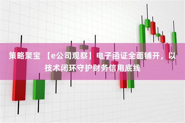 策略聚宝 【e公司观察】电子函证全面铺开，以技术闭环守护财务信用底线