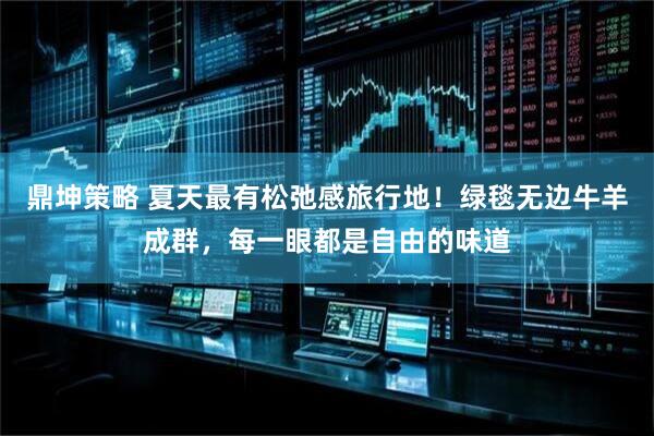 鼎坤策略 夏天最有松弛感旅行地！绿毯无边牛羊成群，每一眼都是自由的味道