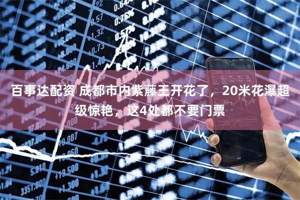百事达配资 成都市内紫藤王开花了，20米花瀑超级惊艳，这4处都不要门票