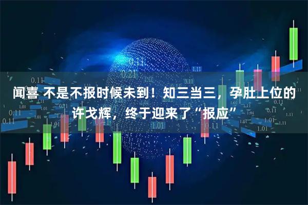 闻喜 不是不报时候未到！知三当三，孕肚上位的许戈辉，终于迎来了“报应”