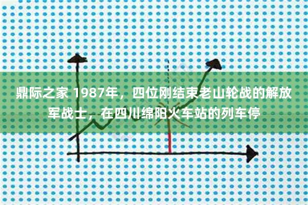 鼎际之家 1987年，四位刚结束老山轮战的解放军战士，在四川绵阳火车站的列车停